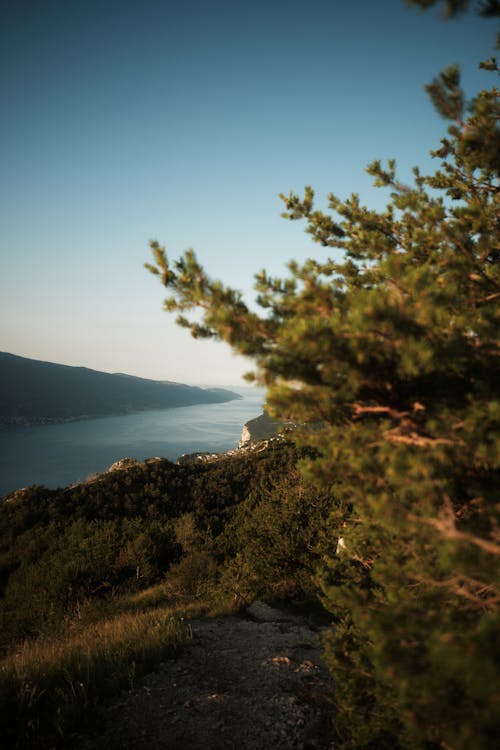 Kostnadsfri bild av kulle, lantlig, natur