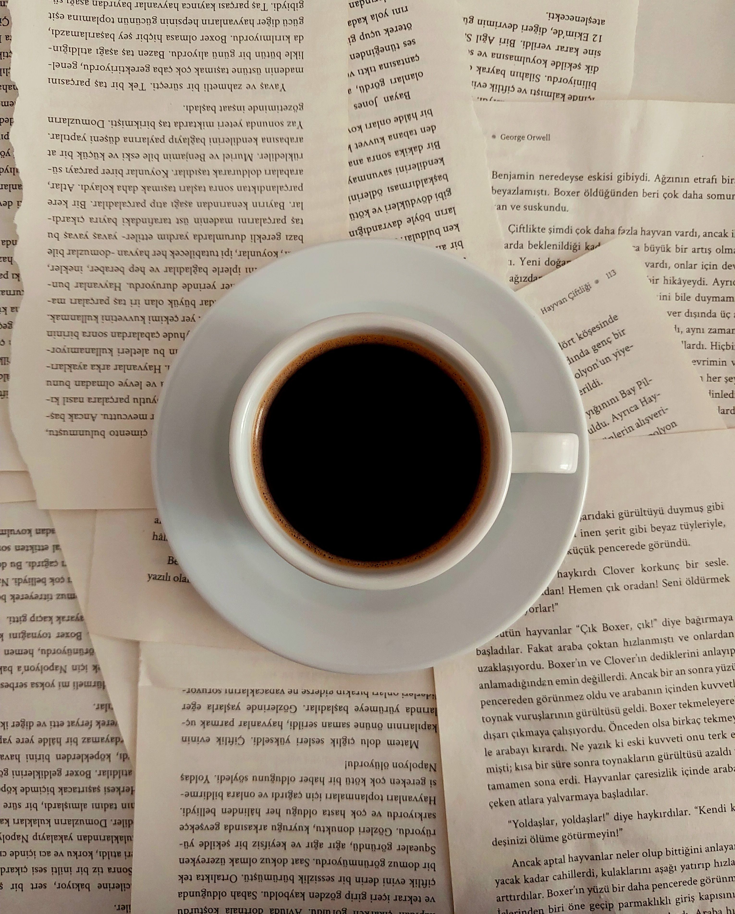A soothing scene of a cup of coffee placed on open book pages, perfect for study and relaxation.