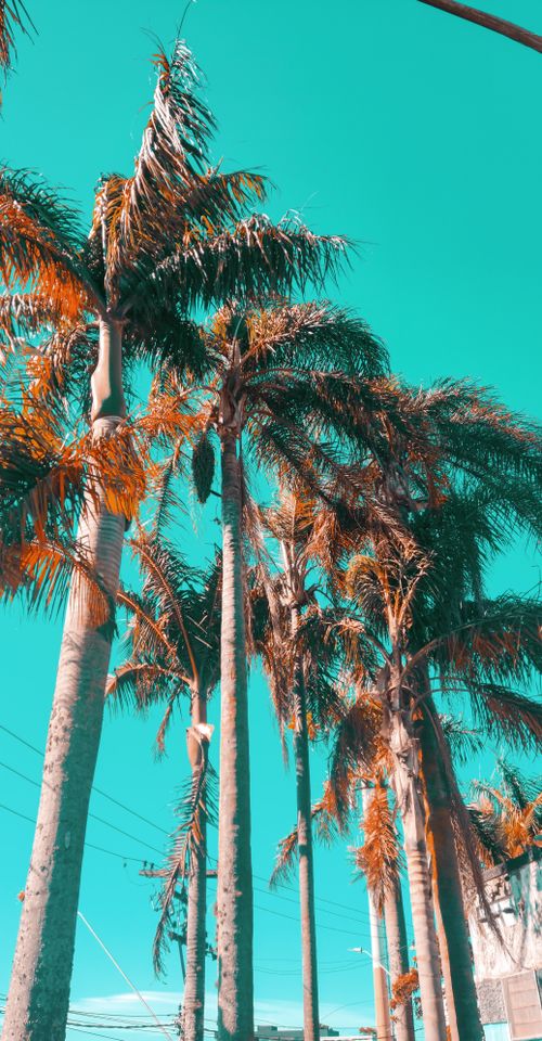 Free SKY  Stock Photo