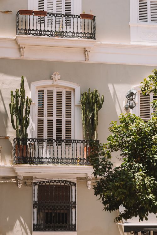 Free Elegant urban balcony in Valencia, Spain, featuring potted cacti and classic shutters. Stock Photo