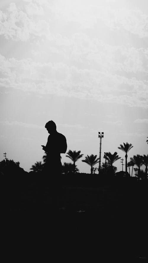 Silhouette of a Man Busy with Phone and Palm Trees