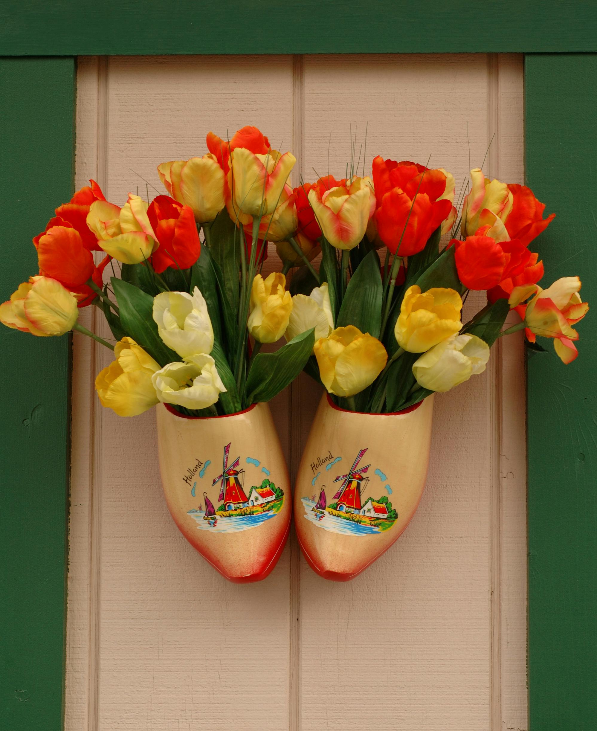 colorful tulips in decorative shoes