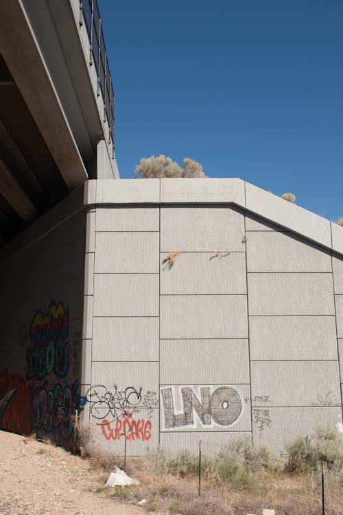 Graffiti on Sunlit, Gray Wall