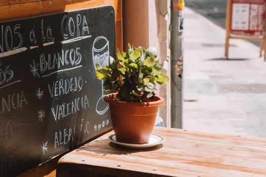 Horchata tasting at 17th-century café — Valencia