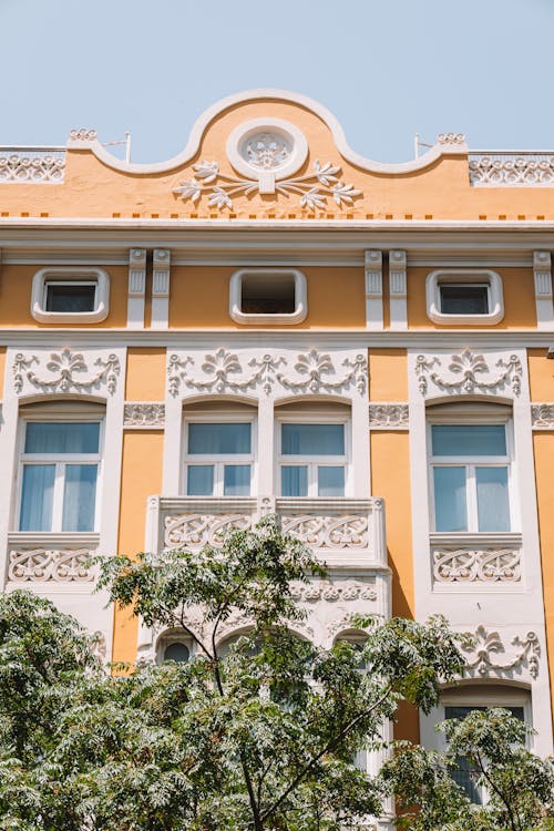 Foto profissional grátis de aparência, árvore, construção