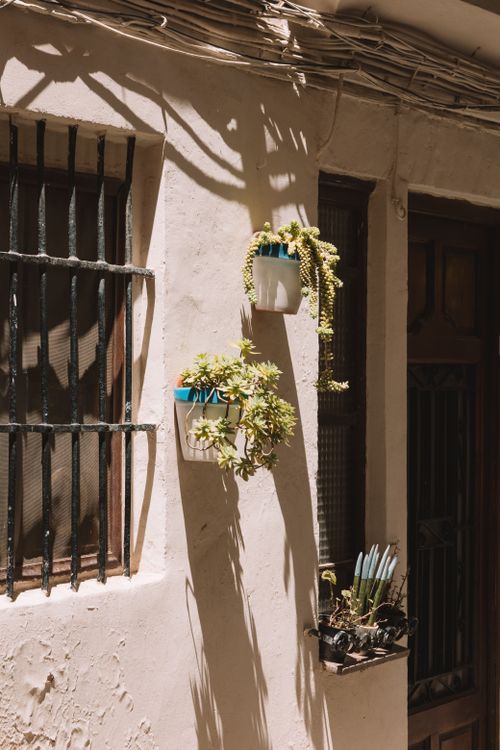 Free Charming sunlit urban scene with hanging plants casting shadows on a textured wall. Stock Photo