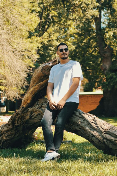 Free Man in sunglasses wearing white t-shirt and jeans sits on a tree in a sunny park. Stock Photo