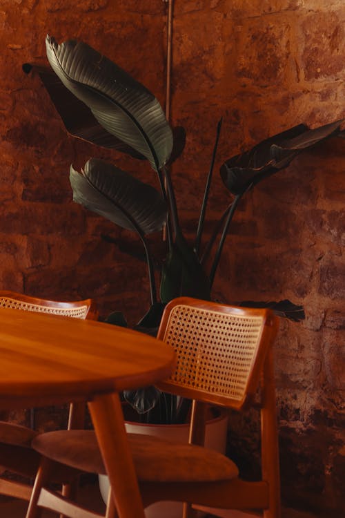 Foto profissional grátis de cadeira, design de interiores, mobília