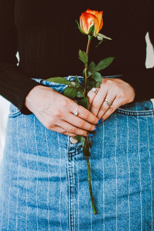 Free A woman in denim holds an orange rose, emphasizing elegance and style. Stock Photo