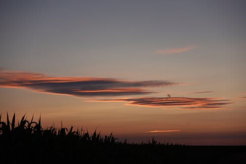 คลังภาพถ่ายฟรี ของ ซิลูเอตต์, ตะวันลับฟ้า, ท้องฟ้าที่น่าทึ่ง