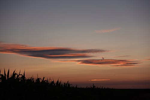 Gratis lagerfoto af dramatisk himmel, silhouet, skyer