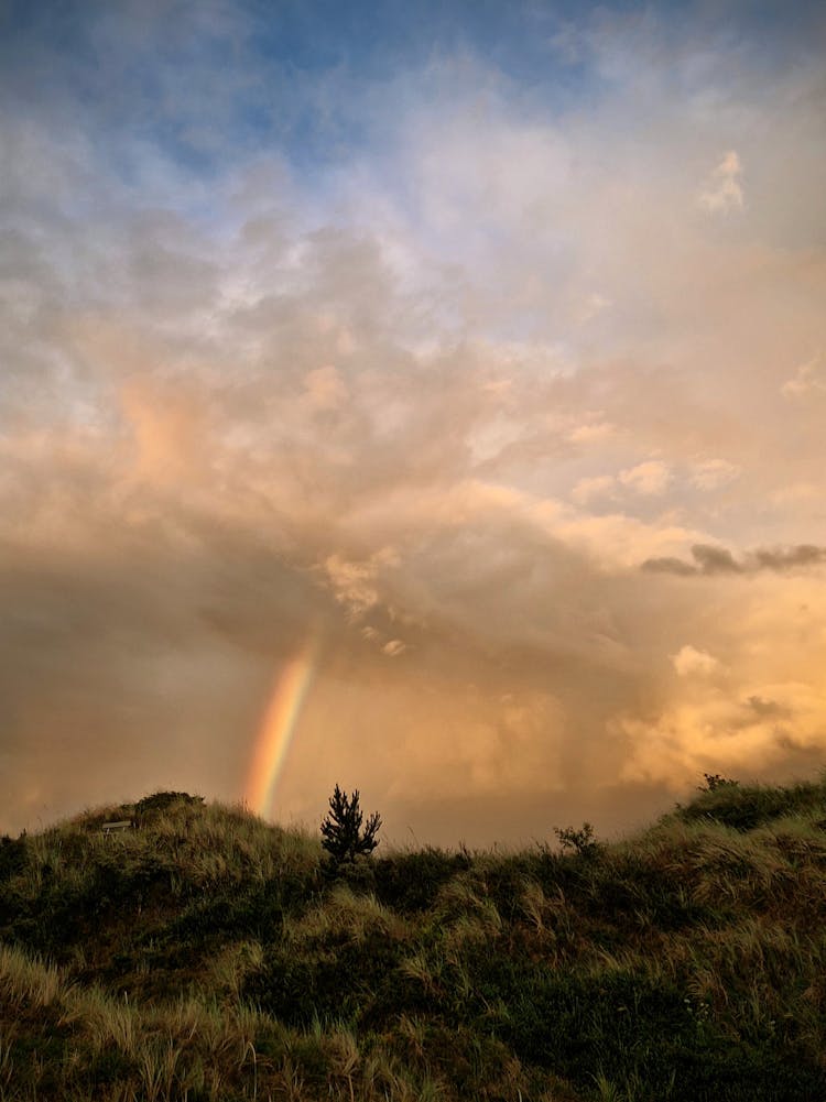 Rainbow In The Clouds