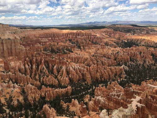 ağaçlar, bakir bölge, bryce kanyonu içeren Ücretsiz stok fotoğraf