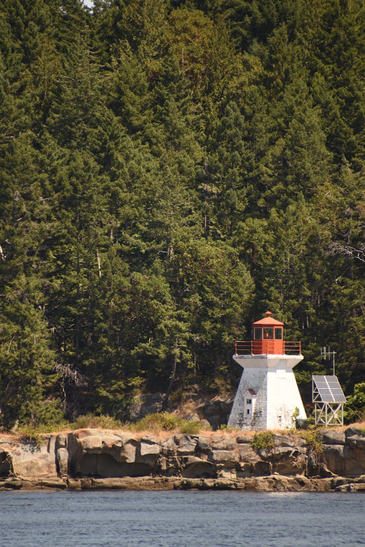 Small Lighthouse On A Rocky Forested Coast