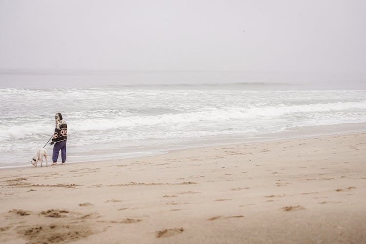 Person With Dog On Beach