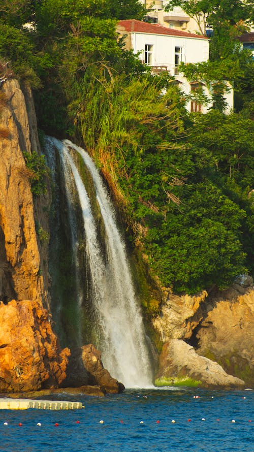 Foto profissional grátis de abismo, árvores, cachoeira