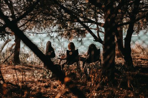 Free Group of women relaxing outdoors, sitting under trees by a lake, enjoying nature's calm. Stock Photo