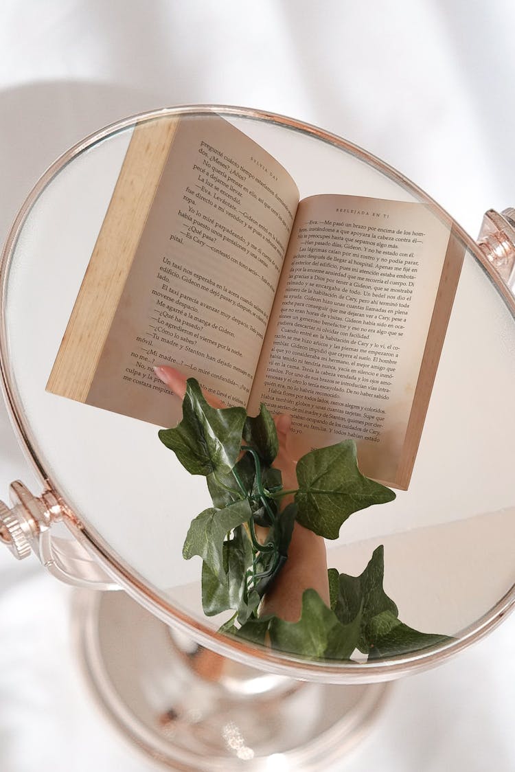 Book Reflection In Mirror