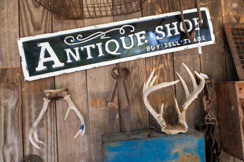 Free stock photo of antique shop, antlers, buy
