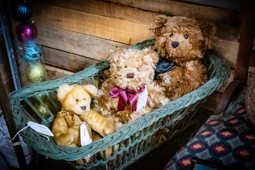Free stock photo of antique shop, basket of bears, bears wearing ribbons
