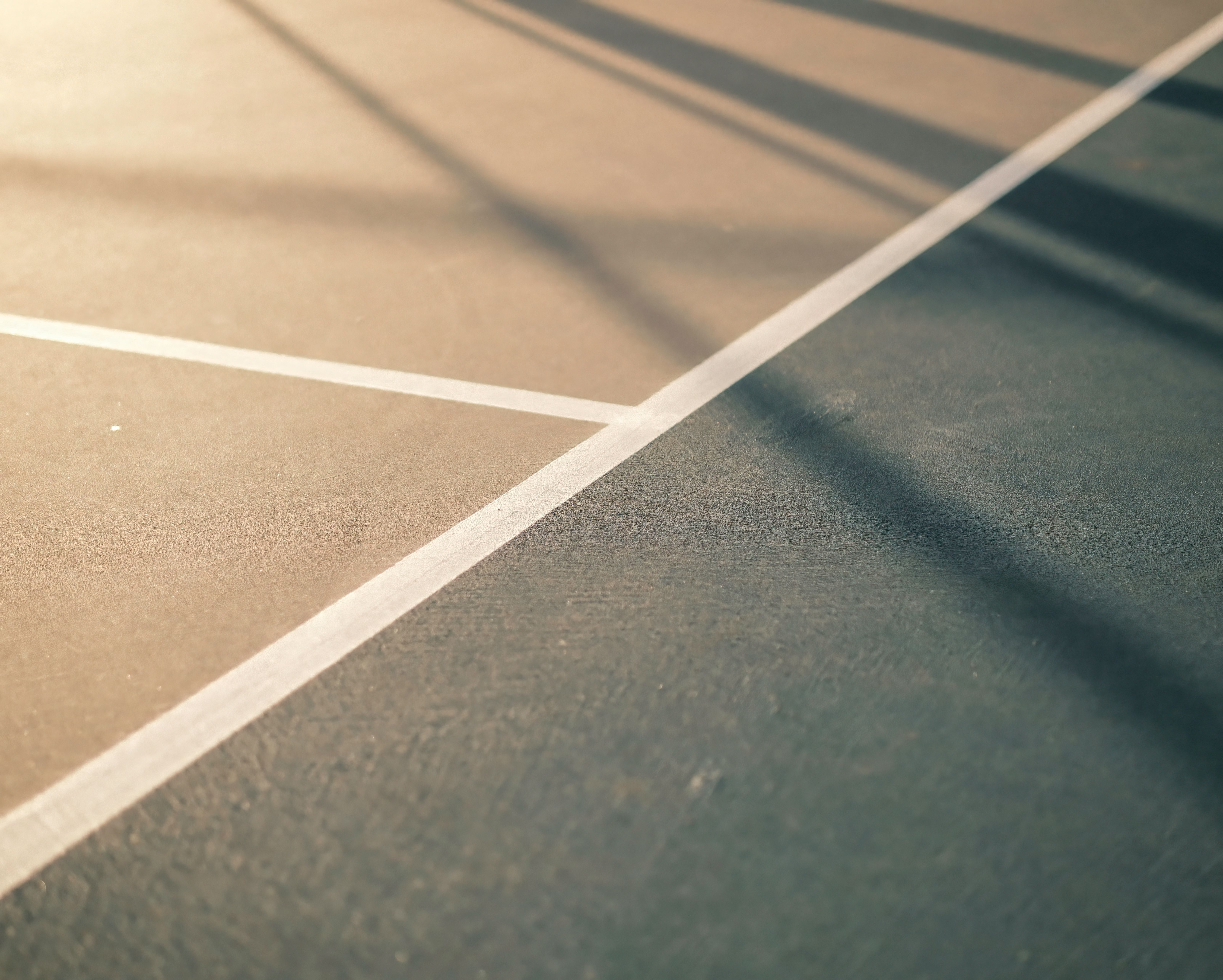pickleball trends — Photo by Nate Biddle on Pexels