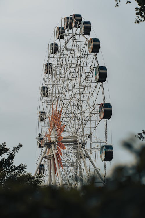 Foto profissional grátis de alto, carrossel, divertimento