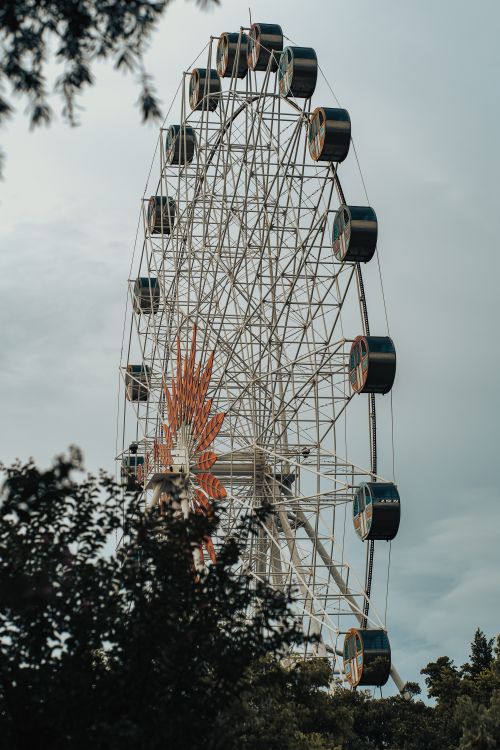 Free A towering Ferris wheel surrounded by trees in an amusement park, perfect for a fun day out. Stock Photo