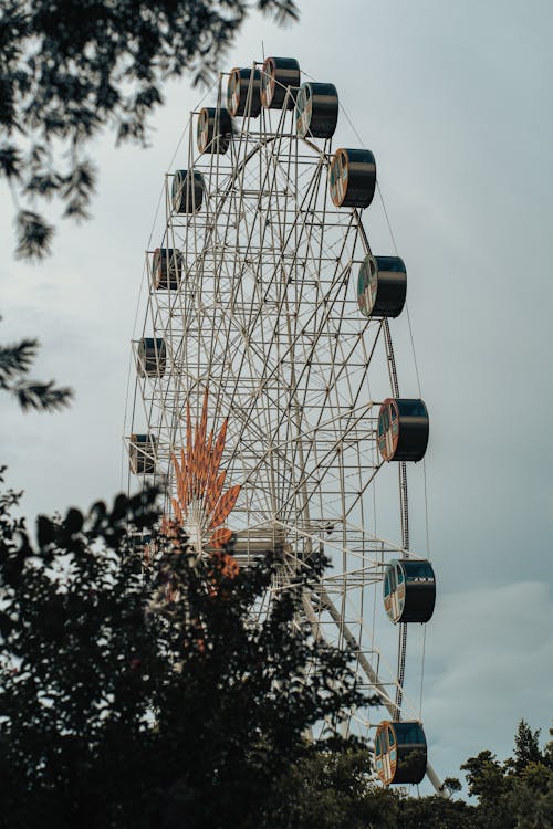 Large Ferris Wheel Seen From Ground