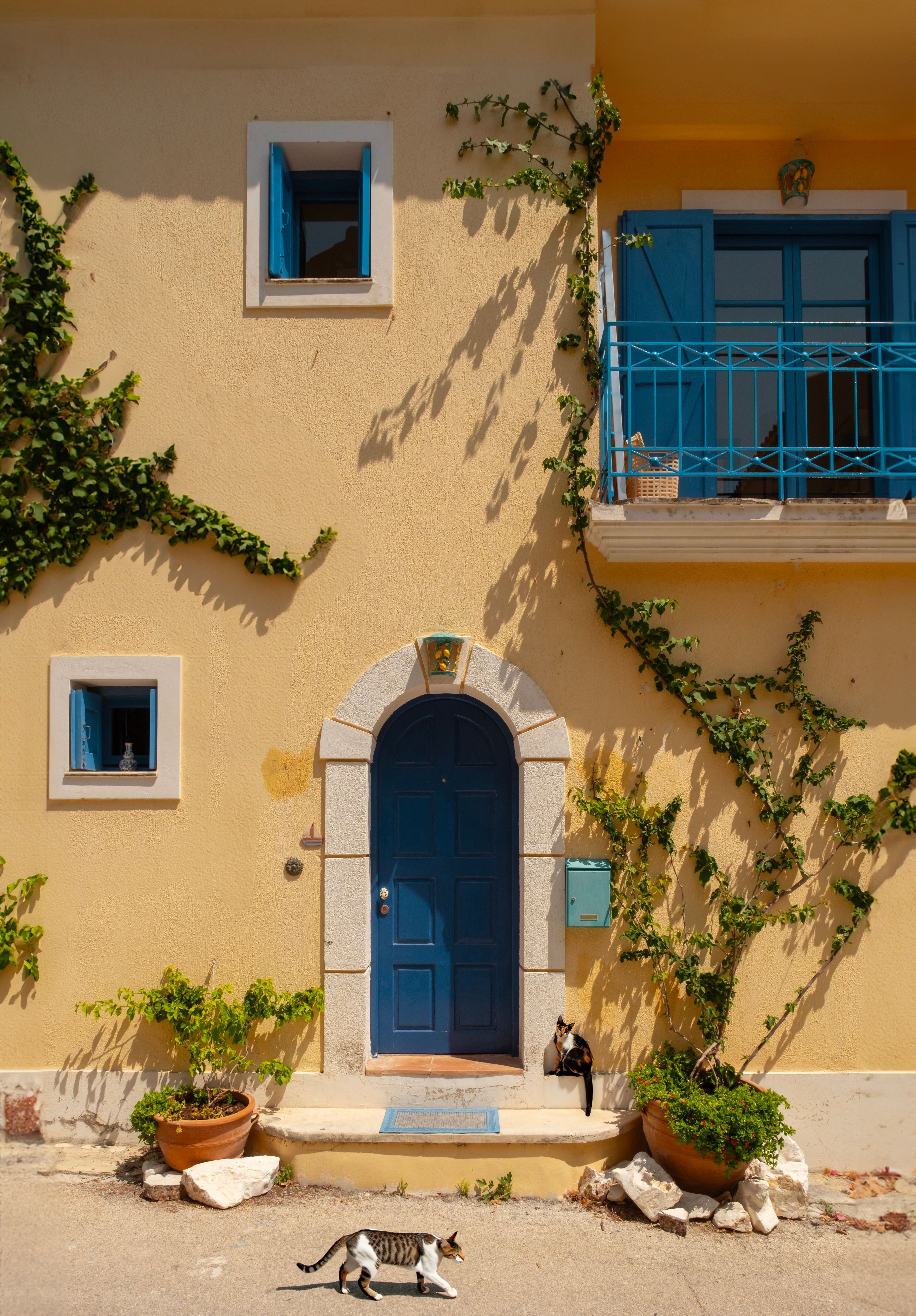 Beautiful Kefalos home featuring a vibrant blue door and playful cats in Greece.
