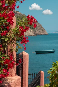 Peaceful seascape in Kefalos, Greece, featuring vibrant flowers and serene ocean view.