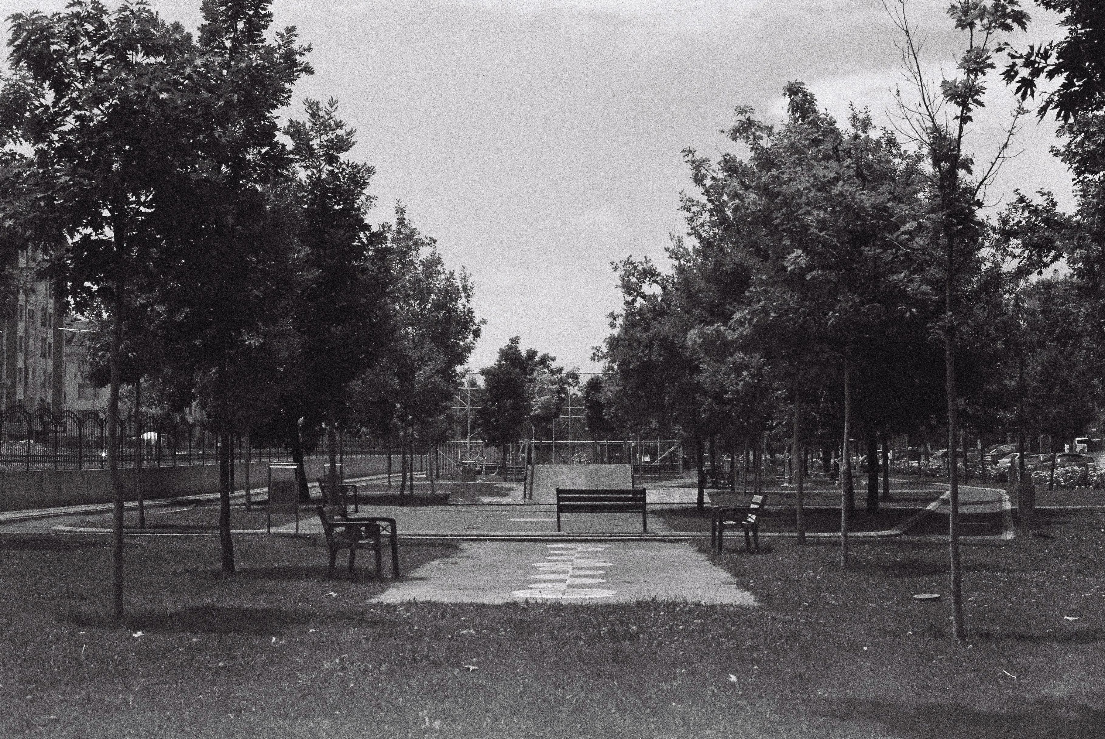 A wide paved path through a green suburban park with a bench and a kerb ramp in the foreground
