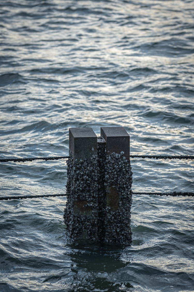 Stone Block In Water