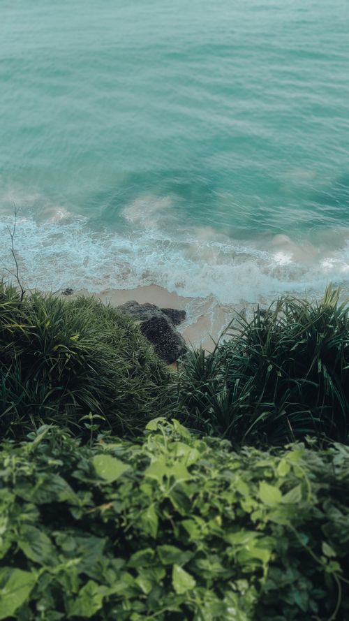 Free Explore the lush greenery and clear blue waters along the cliffs of Varkala Beach, Kerala. Stock Photo
