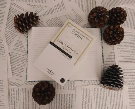 Flat lay of Goethe book, pine cones, and scattered pages for creative literature concept.