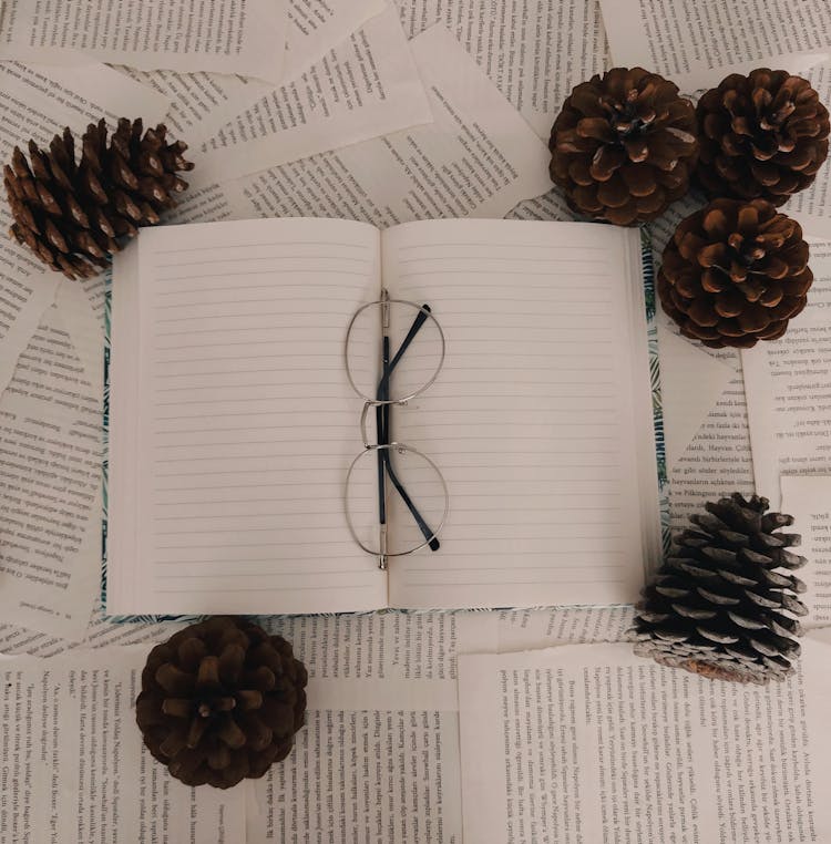 Cones Around Notebook With Eyeglasses