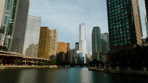 Buildings around Water in Chicago
