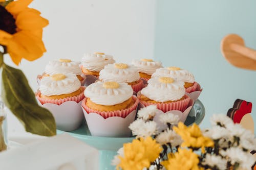 Cupcakes with Buttercream and Sugar Daisies