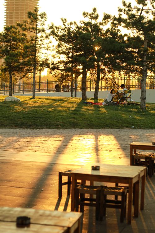 Free Sunlit park scene with wooden tables and people relaxing under trees during summer sunset. Stock Photo