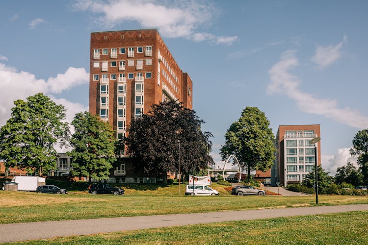 Residential Buildings Surrounded By Trees