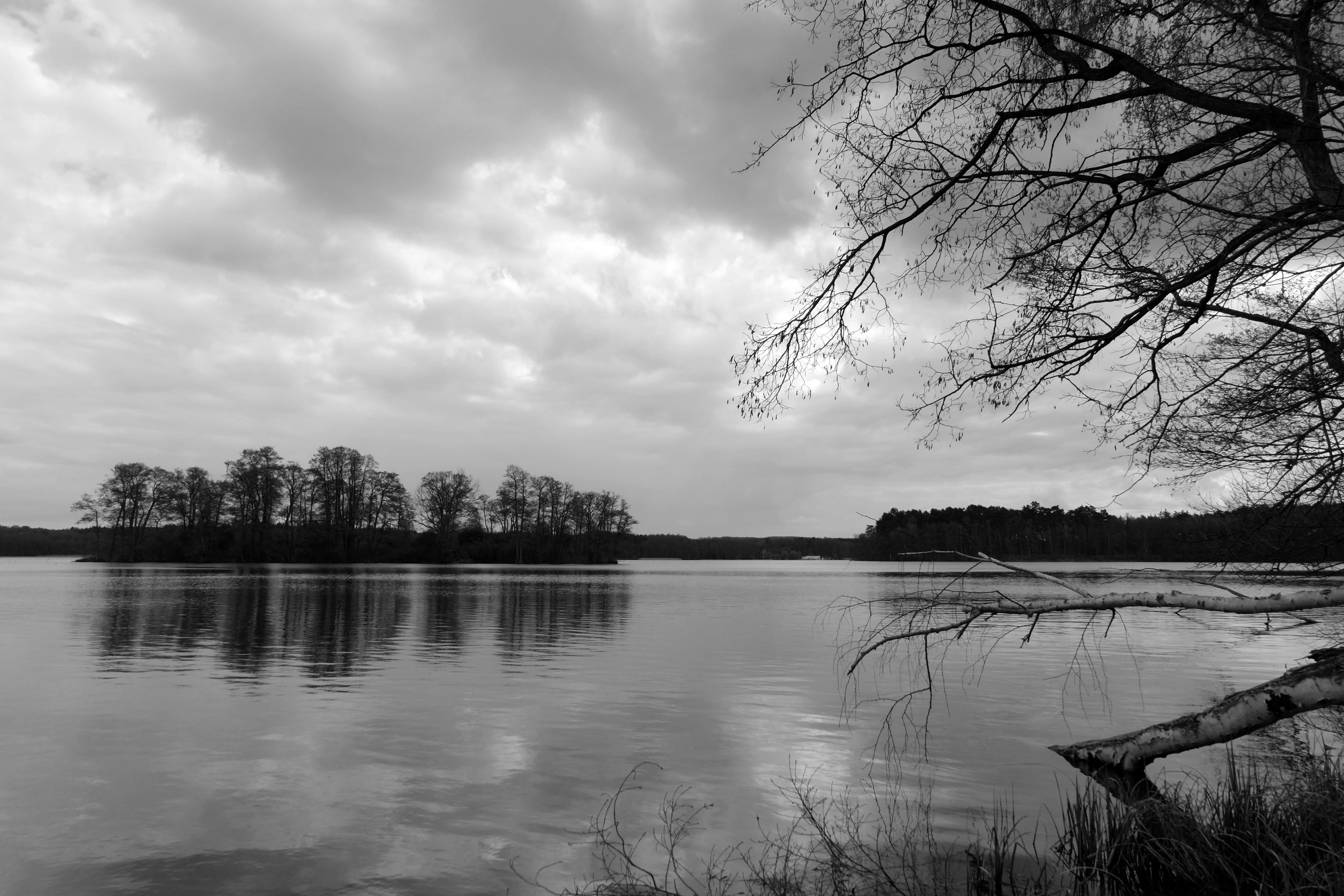 Fischiger Geruch im Urin