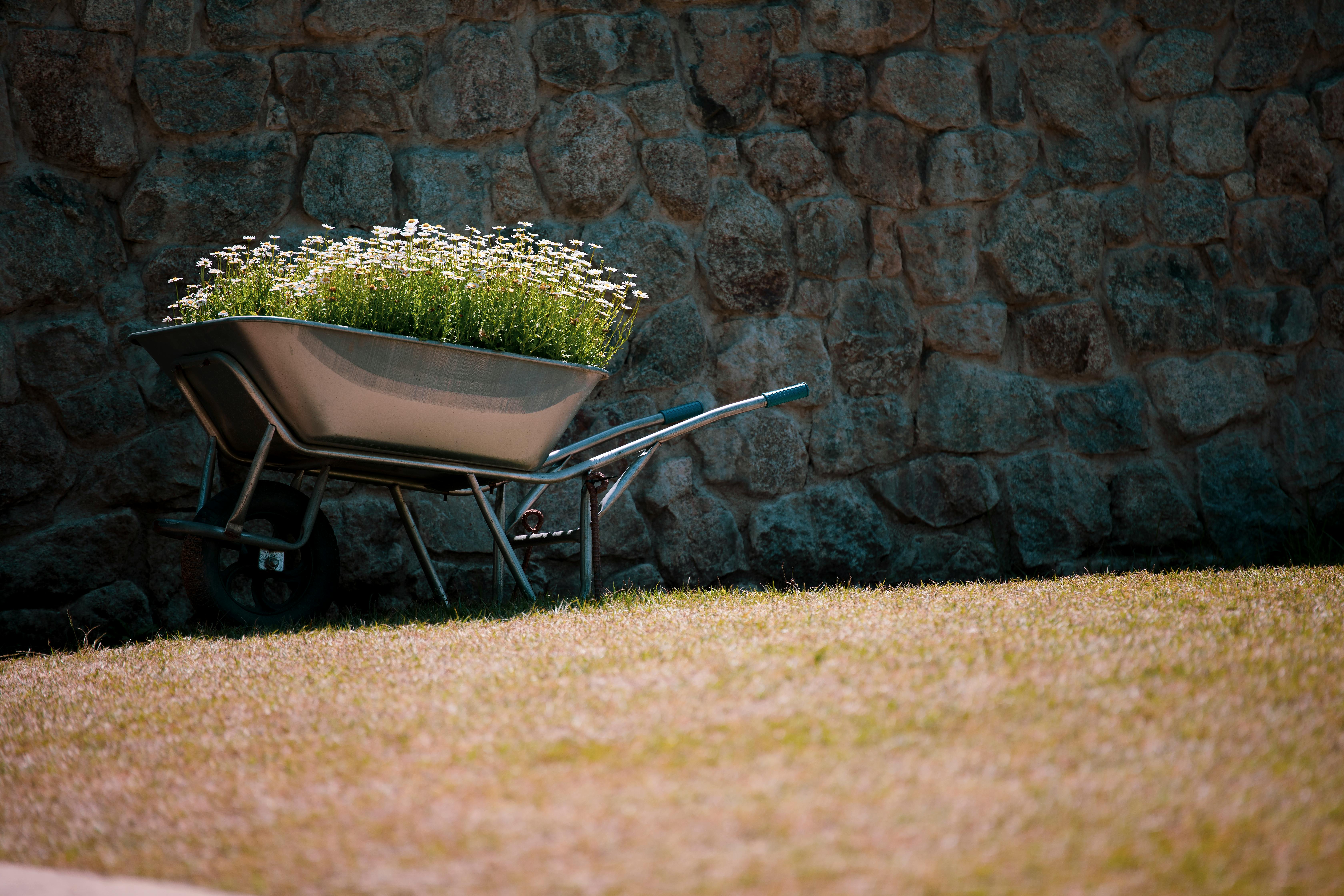 12 durable gardening tools our editors rely on to make gardening more comfortable and fruitful — Photo by 정규송 Nui MALAMA on P