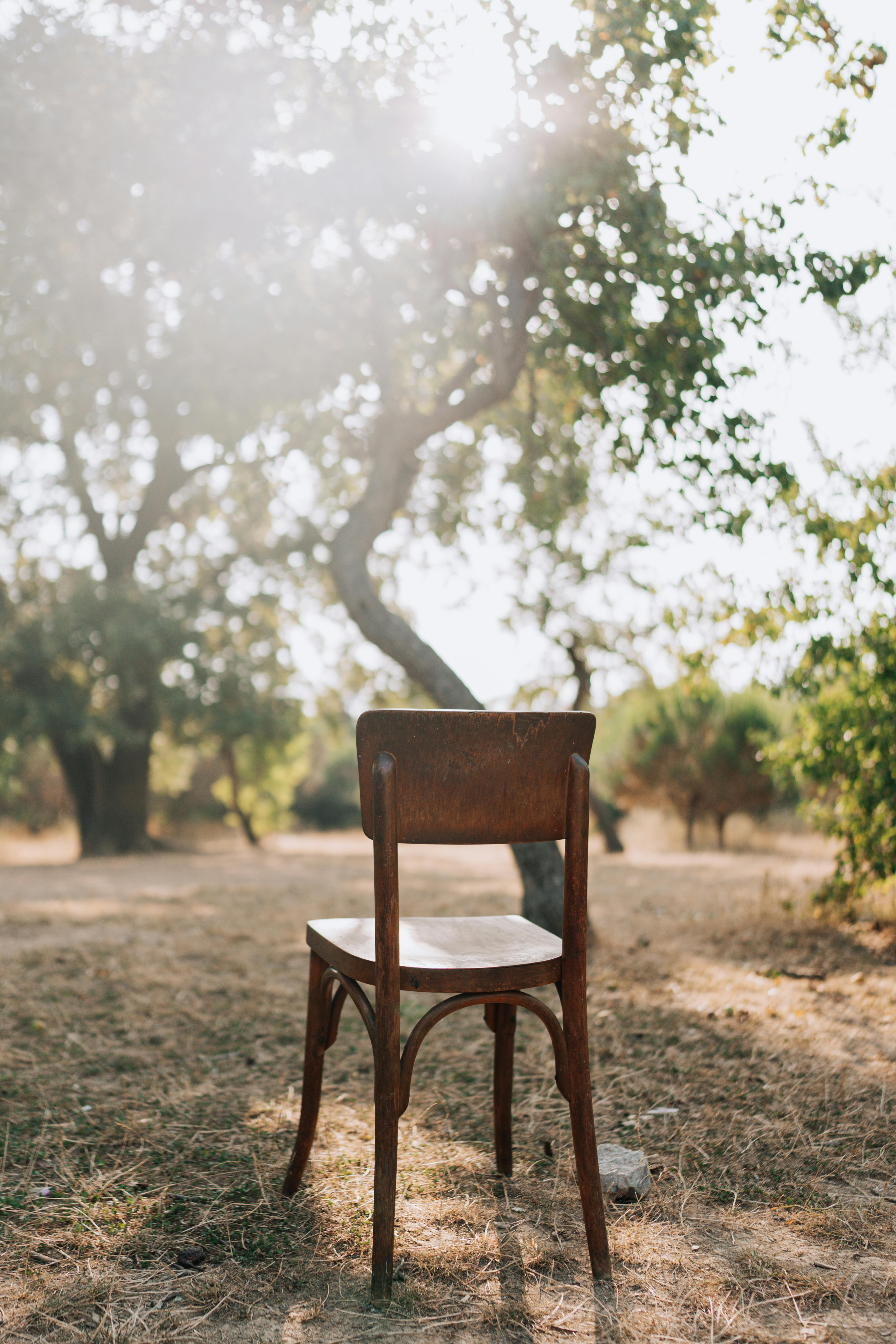 A solitary wooden chair in a sunlit rural orchard, capturing serene and rustic beauty.