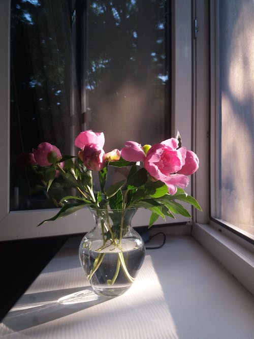 Glass Vase of Pink Flowers on the Windowsill of an Open Window