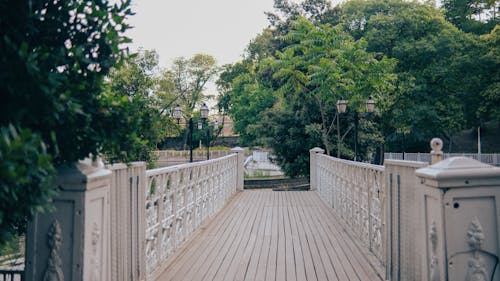 Foto stok gratis jembatan kaki, jembatan penyeberangan, kebun