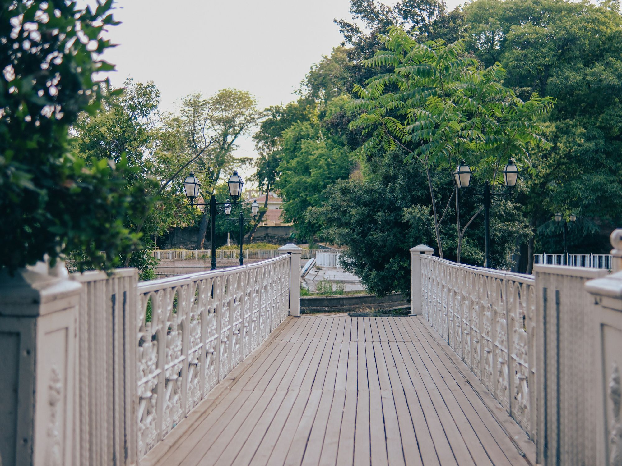Fence and Decking Painting in Bankside, Southwark — garden fence being painted with weatherproof wood finish