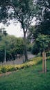 Panorama or a Hilly Park with Wide Asphalt Footpath