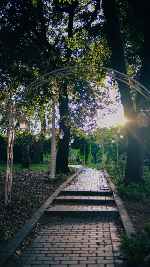 Free Inviting walkway adorned with lanterns and lush trees, capturing a tranquil moment at sunrise in a park. Stock Photo