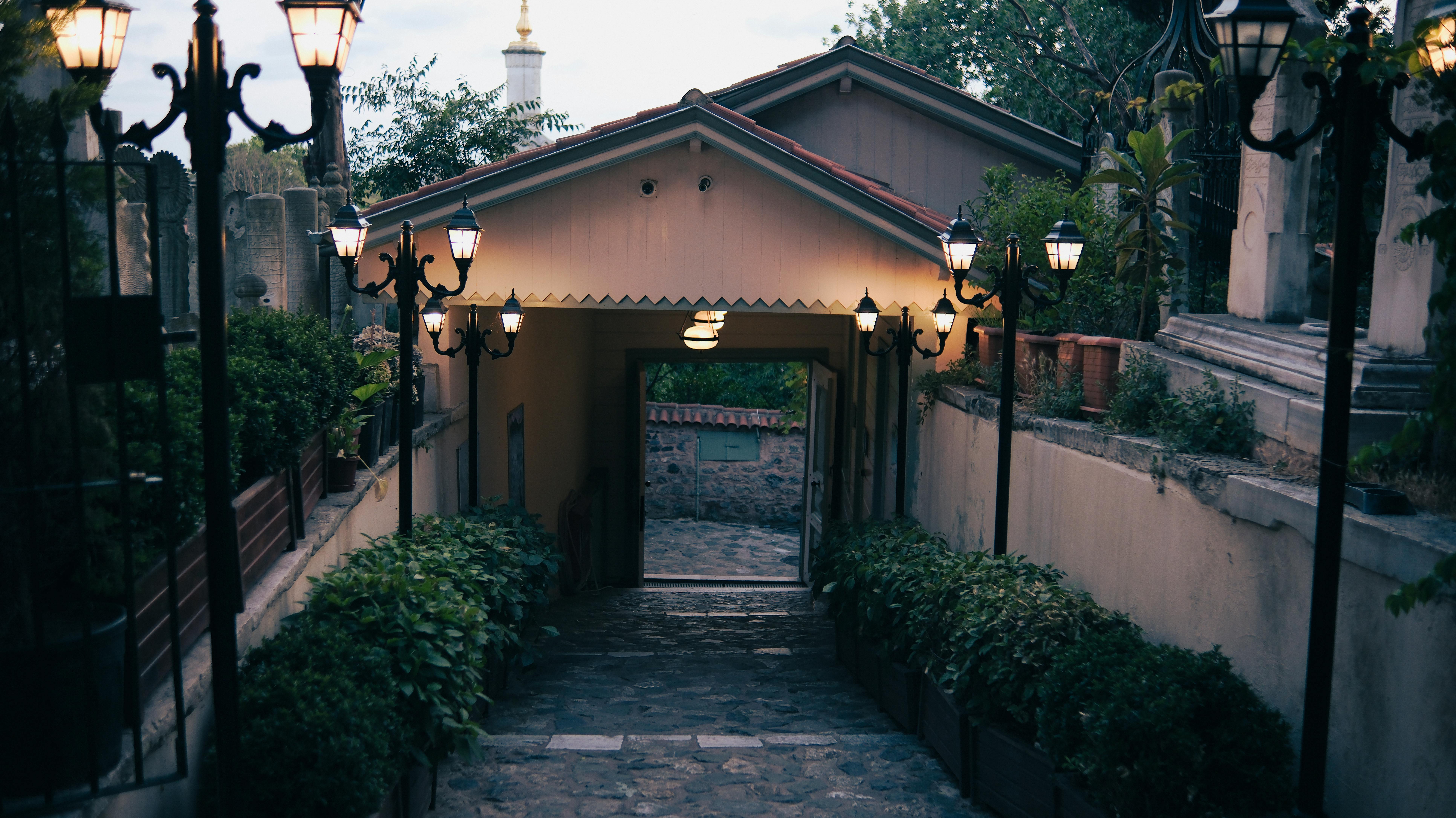 Urban Gardening Start Guide: Transforming Small Spaces into Green Oases