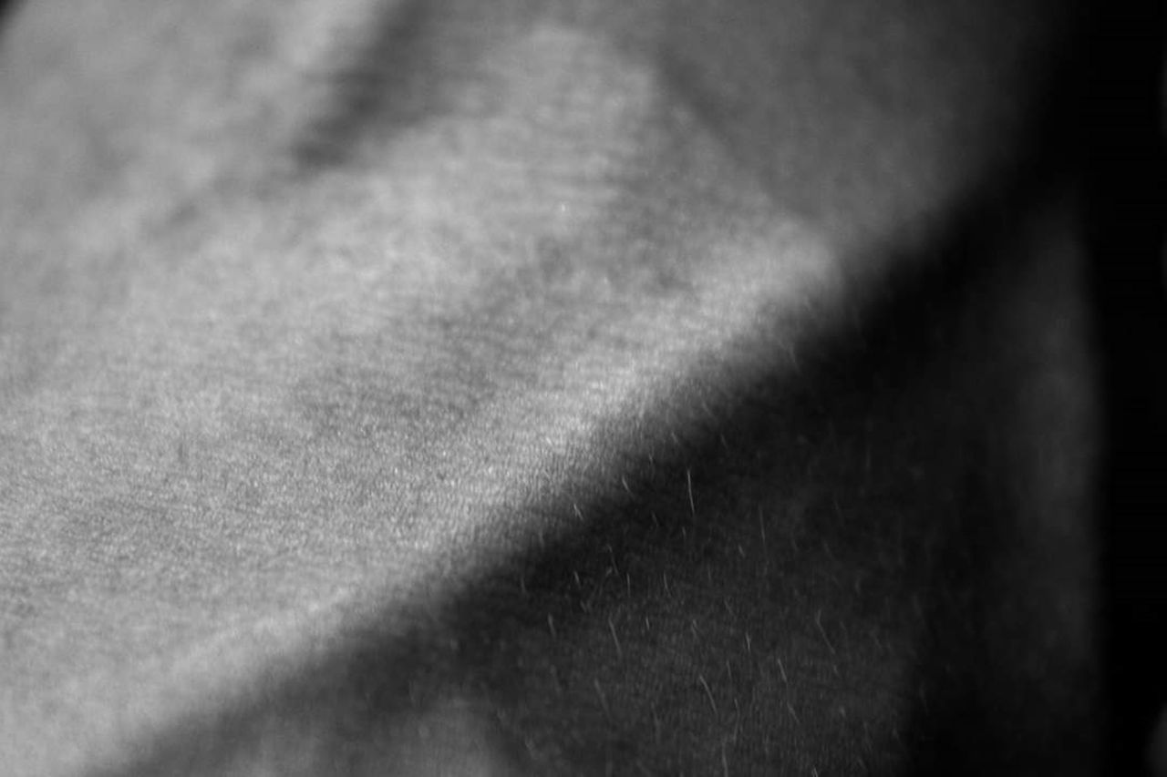 close up black and white image showcasing the fine texture and details