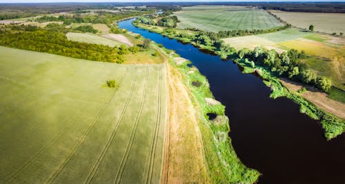Aerial View of the River Among the Fields
